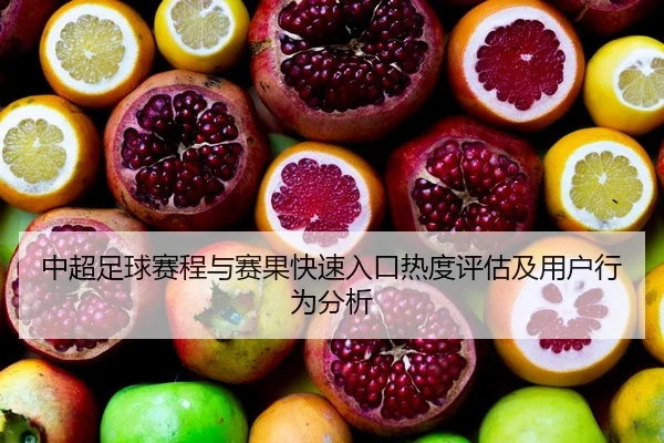 中超足球赛程与赛果快速入口热度评估及用户行为分析
